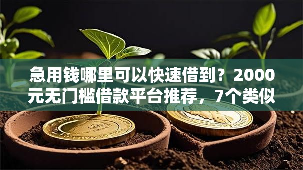 急用钱哪里可以快速借到?2000元无门槛借款平台推荐,7个类似爱用商城的口子盘点 急用钱哪里可以快速借到?2000元无门槛借款平台推荐,7个类似爱用商城的口子盘点