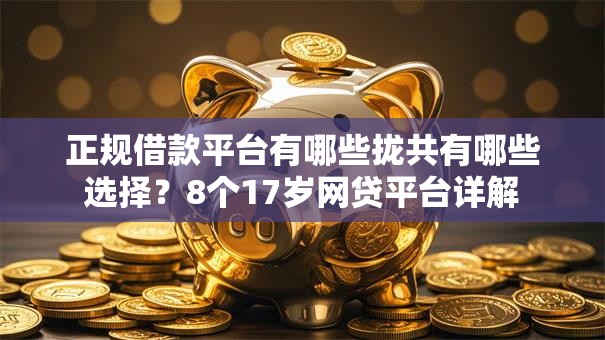 正规借款平台有哪些拢共有哪些选择？8个17岁网贷平台详解
