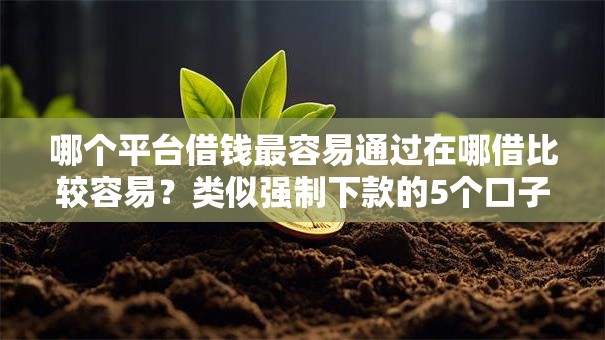 哪个平台借钱最容易通过在哪借比较容易?类似强制下款的5个口子参考 哪个平台借钱最容易通过在哪借比较容易?类似强制下款的5个口子参考
