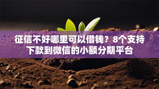 征信不好哪里可以借钱？8个支持下款到微信的小额分期平台