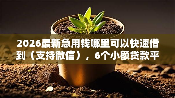 2026最新急用钱哪里可以快速借到(支持微信),6个小额贷款平台排名不分先后无私分享 2026最新急用钱哪里可以快速借到(支持微信),6个小额贷款平台排名不分先后无私分享