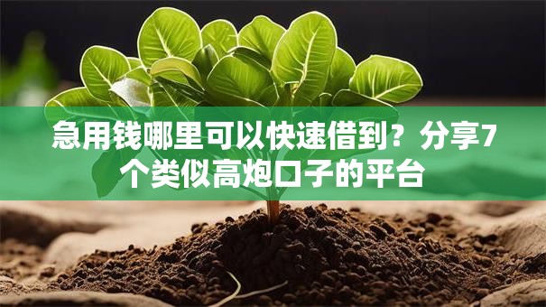 急用钱哪里可以快速借到?分享7个类似高炮口子的平台 急用钱哪里可以快速借到?分享7个类似高炮口子的平台