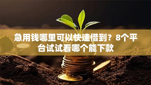 急用钱哪里可以快速借到?8个平台试试看哪个能下款 急用钱哪里可以快速借到?8个平台试试看哪个能下款