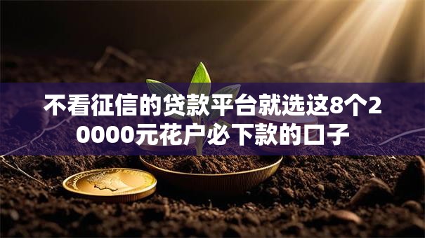 不看征信的贷款平台就选这8个20000元花户必下款的口子 不看征信的贷款平台就选这8个20000元花户必下款的口子
