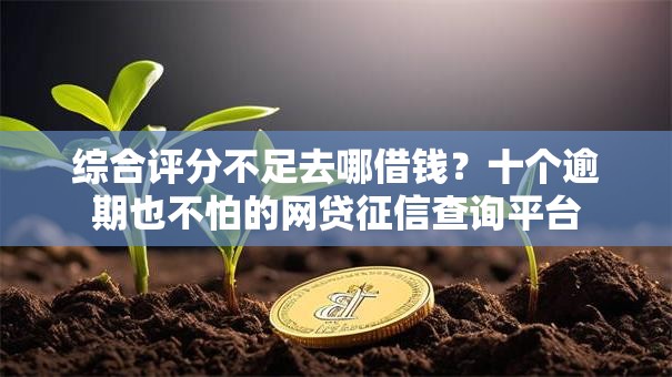 综合评分不足去哪借钱?十个逾期也不怕的网贷征信查询平台 综合评分不足去哪借钱?十个逾期也不怕的网贷征信查询平台