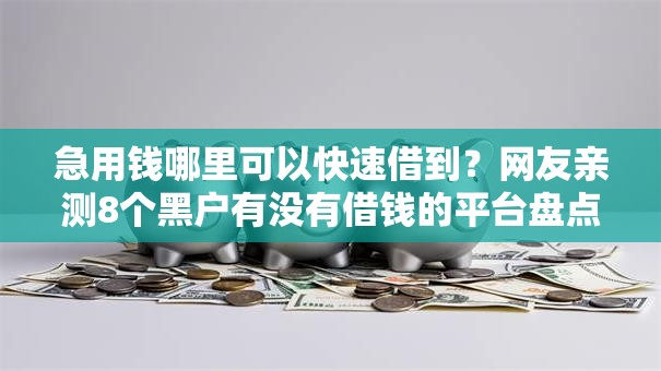 急用钱哪里可以快速借到?网友亲测8个黑户有没有借钱的平台盘点 急用钱哪里可以快速借到?网友亲测8个黑户有没有借钱的平台盘点