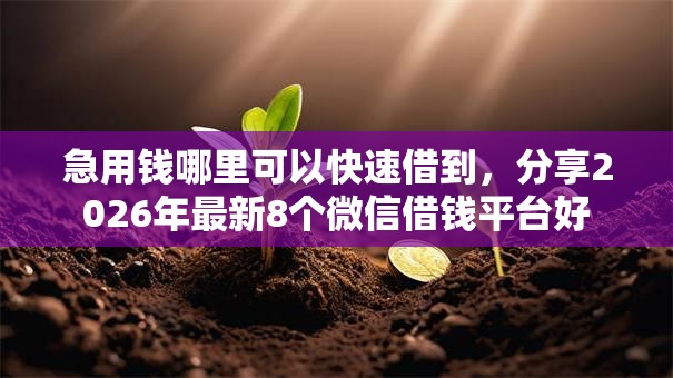 急用钱哪里可以快速借到,分享2026年最新8个微信借钱平台好 急用钱哪里可以快速借到,分享2026年最新8个微信借钱平台好