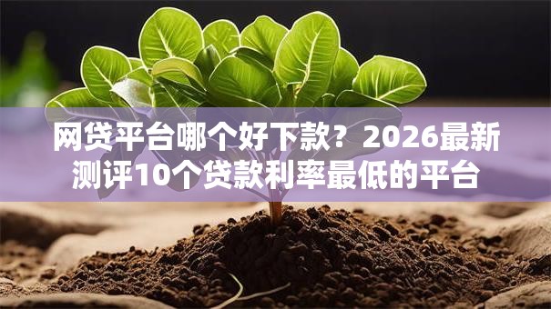 网贷平台哪个好下款?2026最新测评10个贷款利率最低的平台 网贷平台哪个好下款?2026最新测评10个贷款利率最低的平台