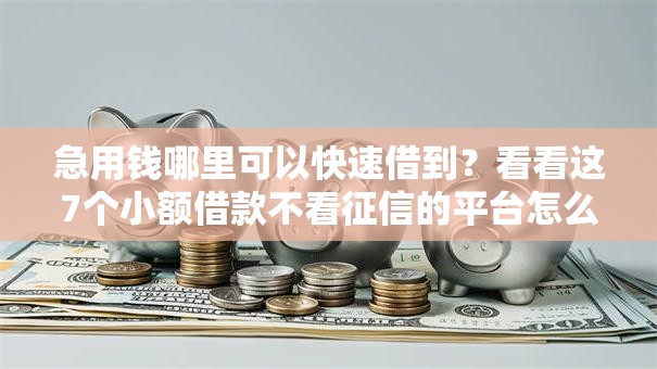 急用钱哪里可以快速借到?看看这7个小额借款不看征信的平台怎么样 急用钱哪里可以快速借到?看看这7个小额借款不看征信的平台怎么样