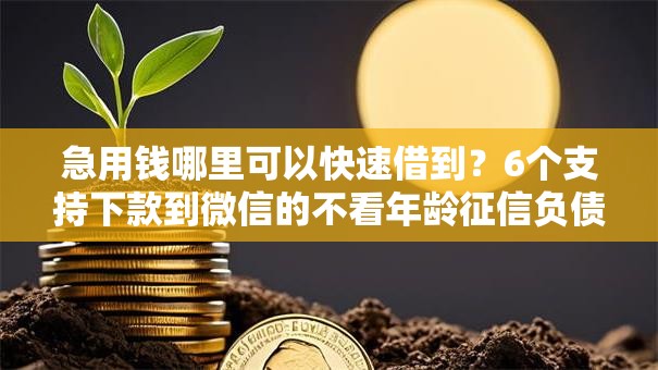 急用钱哪里可以快速借到?6个支持下款到微信的不看年龄征信负债的平台 急用钱哪里可以快速借到?6个支持下款到微信的不看年龄征信负债的平台