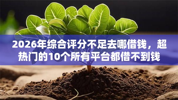 2026年综合评分不足去哪借钱，超热门的10个所有平台都借不到钱了还能借到钱的平台推荐