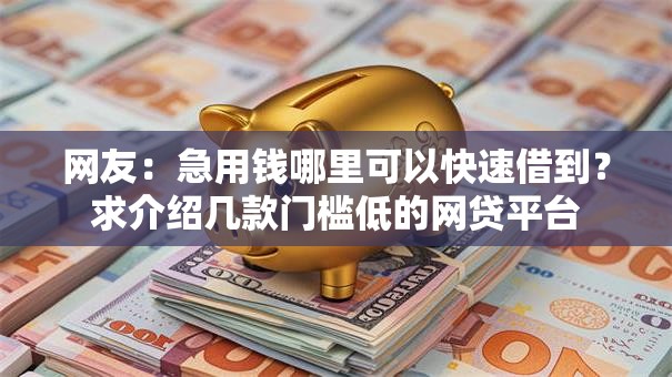 网友:急用钱哪里可以快速借到?求介绍几款门槛低的网贷平台 网友:急用钱哪里可以快速借到?求介绍几款门槛低的网贷平台