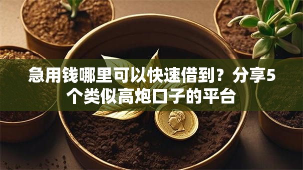 急用钱哪里可以快速借到？分享5个类似高炮口子的平台