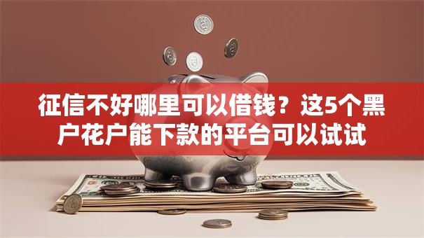 征信不好哪里可以借钱？这5个黑户花户能下款的平台可以试试