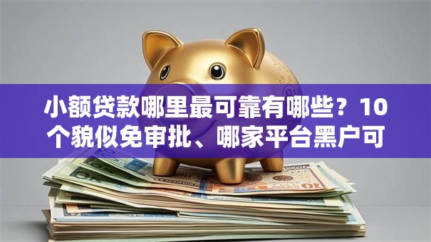 小额贷款哪里最可靠有哪些？10个貌似免审批、哪家平台黑户可以借钱合集