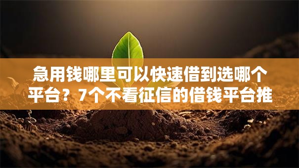 急用钱哪里可以快速借到选哪个平台?7个不看征信的借钱平台推荐 急用钱哪里可以快速借到选哪个平台?7个不看征信的借钱平台推荐