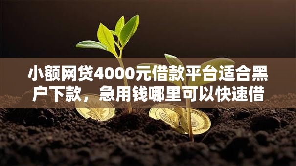 小额网贷4000元借款平台适合黑户下款,急用钱哪里可以快速借到的7个平台介绍 小额网贷4000元借款平台适合黑户下款,急用钱哪里可以快速借到的7个平台介绍