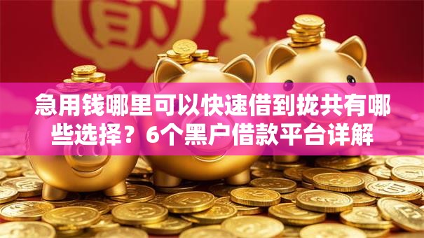 急用钱哪里可以快速借到拢共有哪些选择?6个黑户借款平台详解 急用钱哪里可以快速借到拢共有哪些选择?6个黑户借款平台详解