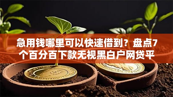 急用钱哪里可以快速借到？盘点7个百分百下款无视黑白户网贷平台给你参考
