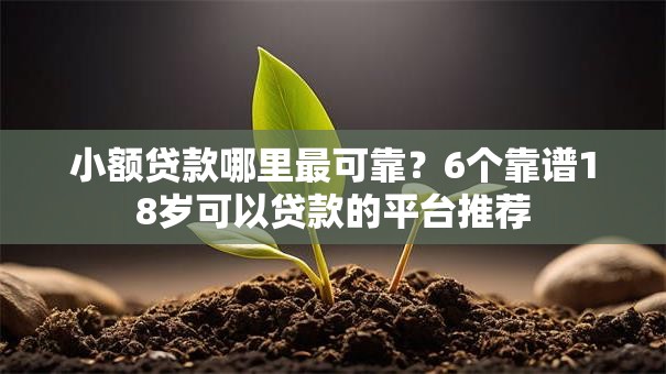小额贷款哪里最可靠?6个靠谱18岁可以贷款的平台推荐 小额贷款哪里最可靠?6个靠谱18岁可以贷款的平台推荐