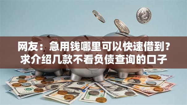 网友:急用钱哪里可以快速借到?求介绍几款不看负债查询的口子 网友:急用钱哪里可以快速借到?求介绍几款不看负债查询的口子