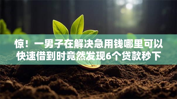 惊!一男子在解决急用钱哪里可以快速借到时竟然发现6个贷款秒下的口子,事后分享了出来 惊!一男子在解决急用钱哪里可以快速借到时竟然发现6个贷款秒下的口子,事后分享了出来