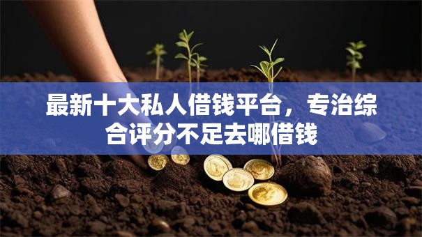 最新十大私人借钱平台,专治综合评分不足去哪借钱 最新十大私人借钱平台,专治综合评分不足去哪借钱