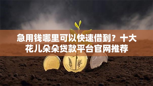急用钱哪里可以快速借到?十大花儿朵朵贷款平台官网推荐 急用钱哪里可以快速借到?十大花儿朵朵贷款平台官网推荐