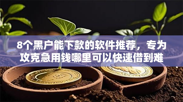 8个黑户能下款的软件推荐，专为攻克急用钱哪里可以快速借到难题