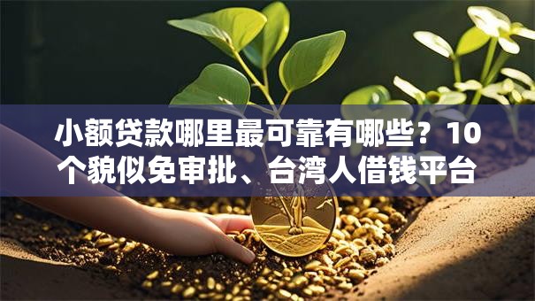 小额贷款哪里最可靠有哪些？10个貌似免审批、台湾人借钱平台合集