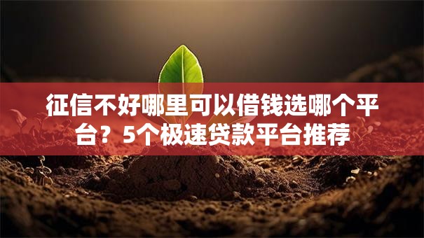 征信不好哪里可以借钱选哪个平台?5个极速贷款平台推荐 征信不好哪里可以借钱选哪个平台?5个极速贷款平台推荐