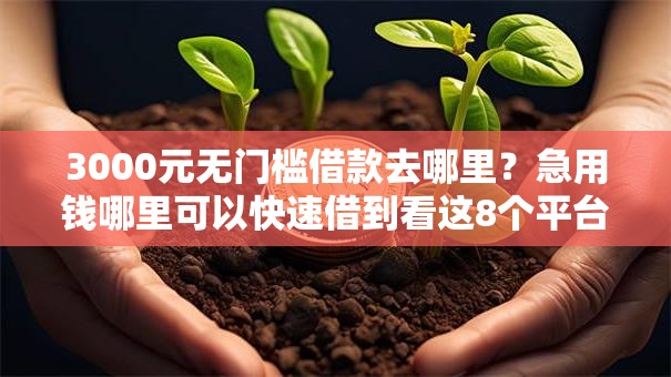 3000元无门槛借款去哪里?急用钱哪里可以快速借到看这8个平台 3000元无门槛借款去哪里?急用钱哪里可以快速借到看这8个平台
