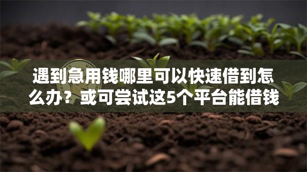 遇到急用钱哪里可以快速借到怎么办?或可尝试这5个平台能借钱 遇到急用钱哪里可以快速借到怎么办?或可尝试这5个平台能借钱