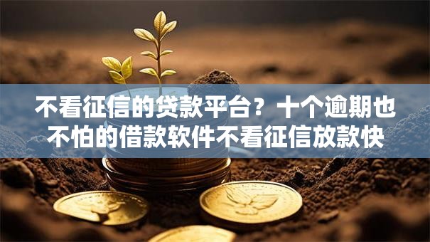 不看征信的贷款平台？十个逾期也不怕的借款软件不看征信放款快