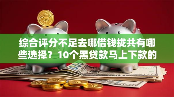 综合评分不足去哪借钱拢共有哪些选择?10个黑贷款马上下款的口子详解 综合评分不足去哪借钱拢共有哪些选择?10个黑贷款马上下款的口子详解