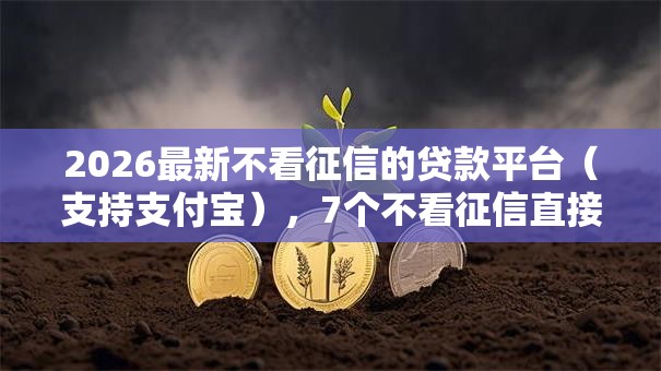 2026最新不看征信的贷款平台(支持支付宝),7个不看征信直接放款的平台无私分享 2026最新不看征信的贷款平台(支持支付宝),7个不看征信直接放款的平台无私分享