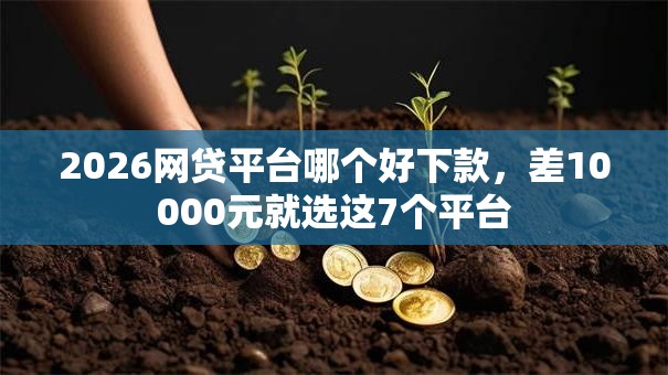2026网贷平台哪个好下款,差10000元就选这7个平台 2026网贷平台哪个好下款,差10000元就选这7个平台