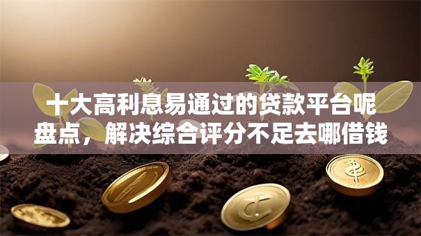 十大高利息易通过的贷款平台呢盘点,解决综合评分不足去哪借钱的问题 十大高利息易通过的贷款平台呢盘点,解决综合评分不足去哪借钱的问题