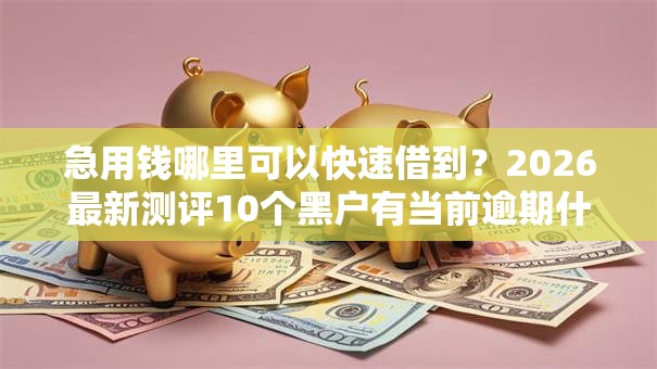 急用钱哪里可以快速借到?2026最新测评10个黑户有当前逾期什么软件能做贷款 急用钱哪里可以快速借到?2026最新测评10个黑户有当前逾期什么软件能做贷款