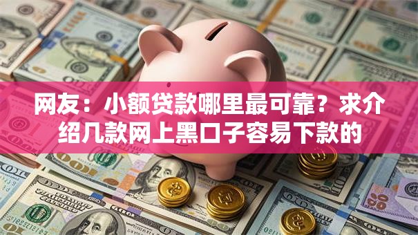 网友:小额贷款哪里最可靠?求介绍几款网上黑口子容易下款的 网友:小额贷款哪里最可靠?求介绍几款网上黑口子容易下款的