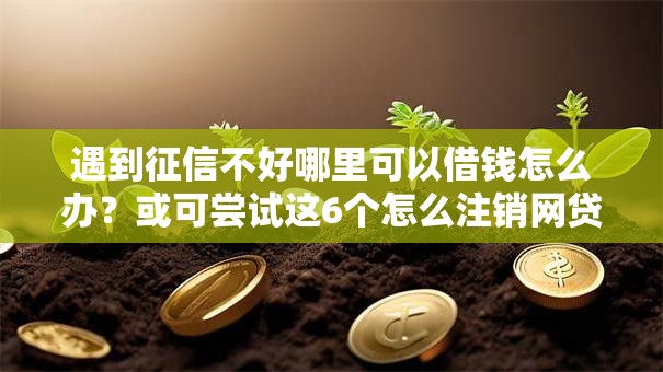 遇到征信不好哪里可以借钱怎么办?或可尝试这6个怎么注销网贷平台的账号 遇到征信不好哪里可以借钱怎么办?或可尝试这6个怎么注销网贷平台的账号