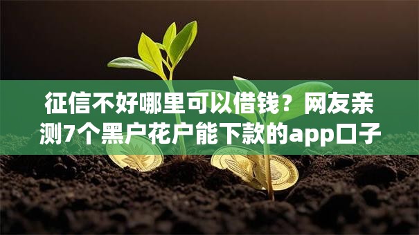 征信不好哪里可以借钱?网友亲测7个黑户花户能下款的app口子盘点 征信不好哪里可以借钱?网友亲测7个黑户花户能下款的app口子盘点