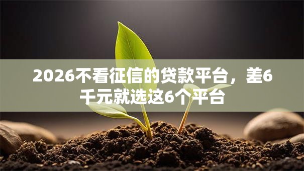 2026不看征信的贷款平台,差6千元就选这6个平台 2026不看征信的贷款平台,差6千元就选这6个平台