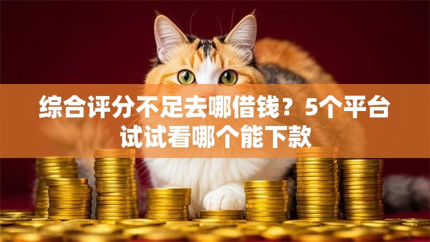 综合评分不足去哪借钱？5个平台试试看哪个能下款