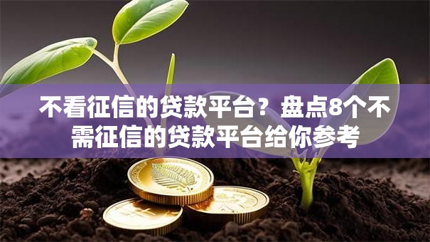 不看征信的贷款平台？盘点8个不需征信的贷款平台给你参考