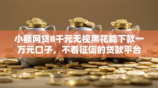 小额网贷8千元无视黑花能下款一万元口子，不看征信的贷款平台的6个平台介绍