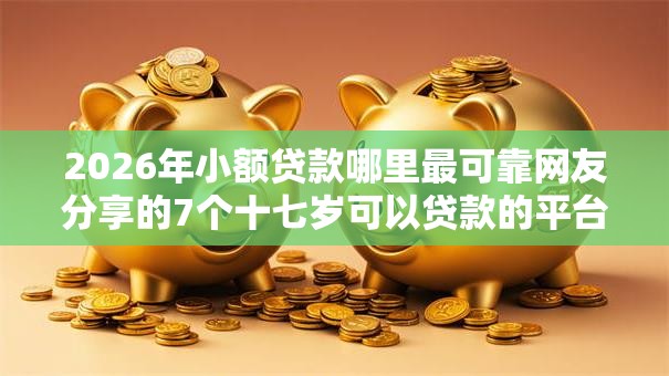 2026年小额贷款哪里最可靠网友分享的7个十七岁可以贷款的平台我觉得不错！