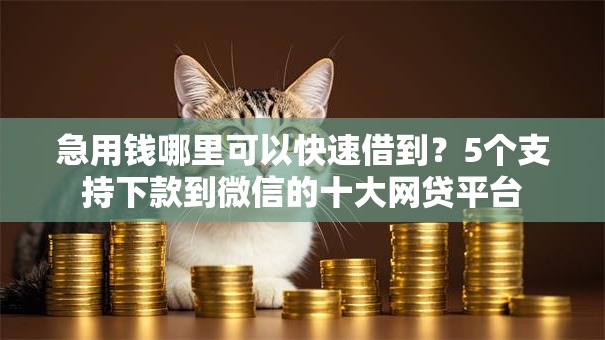 急用钱哪里可以快速借到？5个支持下款到微信的十大网贷平台