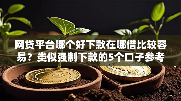 网贷平台哪个好下款在哪借比较容易？类似强制下款的5个口子参考