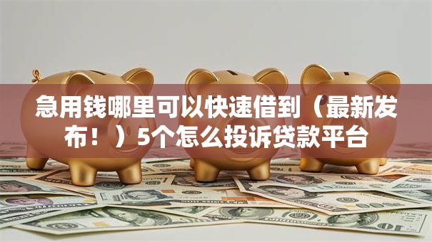 急用钱哪里可以快速借到(最新发布!)5个怎么投诉贷款平台 急用钱哪里可以快速借到(最新发布!)5个怎么投诉贷款平台